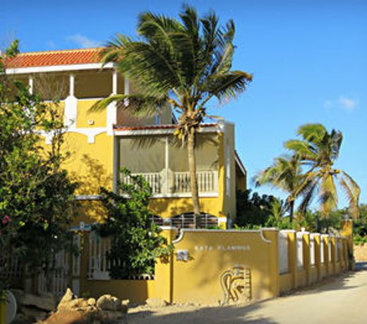 Kas Kibrahacha