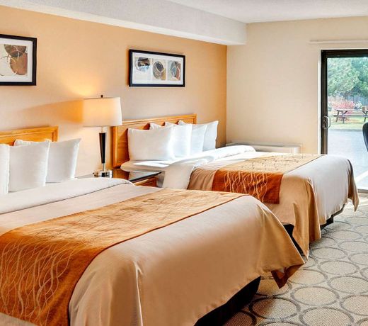 Comfort Inn Edmonton West