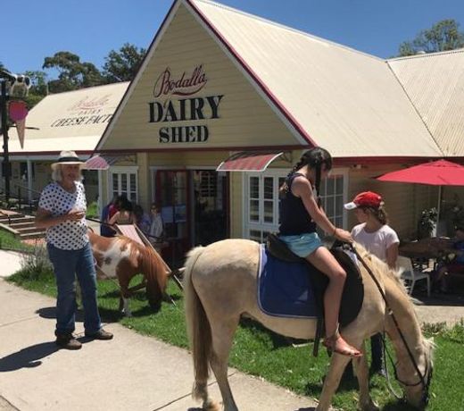 Bodalla Dairy Shed Guest Rooms