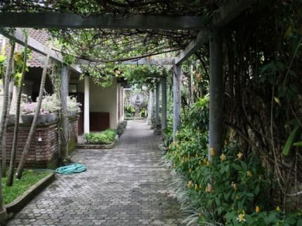 Outdoor Pictures 23