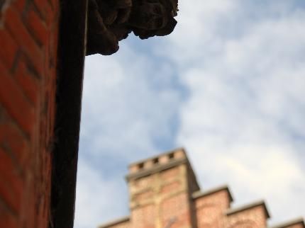 Outdoor Pictures 22