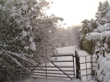 Outdoor Pictures 17