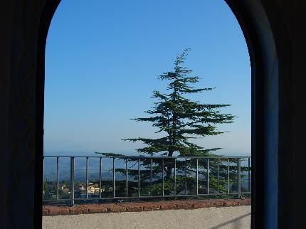 Outdoor Pictures 13