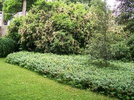 Outdoor Pictures 19