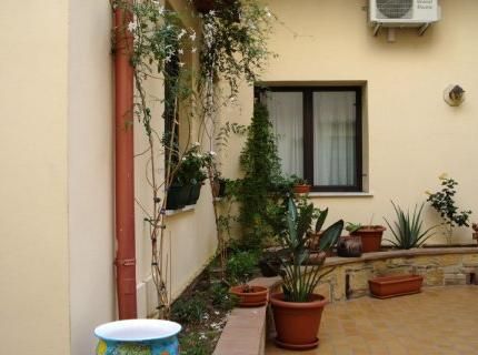 Outdoor Pictures 5