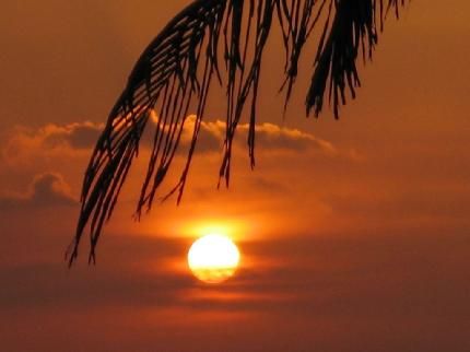 Outdoor Pictures 21