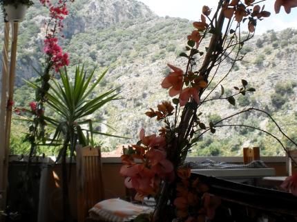 Outdoor Pictures 7