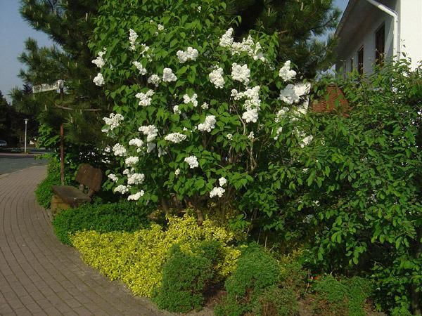 Outdoor Pictures 12