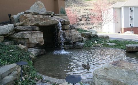Outdoor Pictures 22