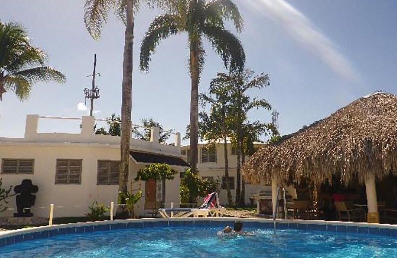El Rincon de Abi