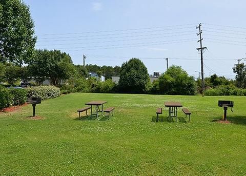 Outdoor Pictures 19