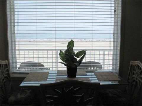 Outdoor Pictures 11