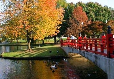 Outdoor Pictures 20