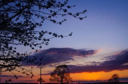 Outdoor Pictures 6