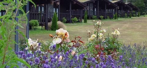 Outdoor Pictures 4