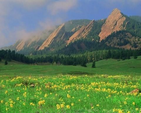 Outdoor Pictures 22
