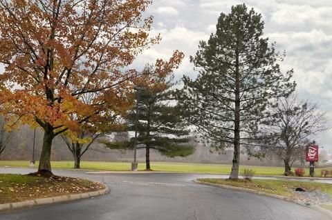 Outdoor Pictures 22