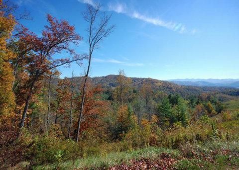 Outdoor Pictures 21