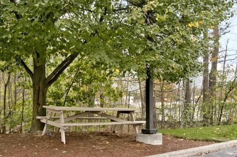 Outdoor Pictures 21