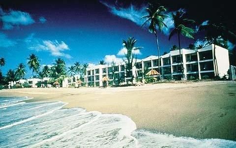 Starfish Tobago