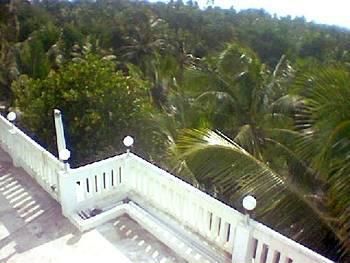 Outdoor Pictures 17