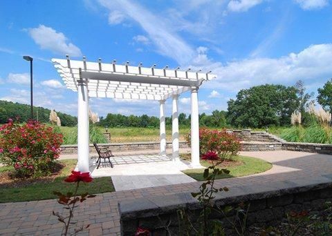 Outdoor Pictures 21