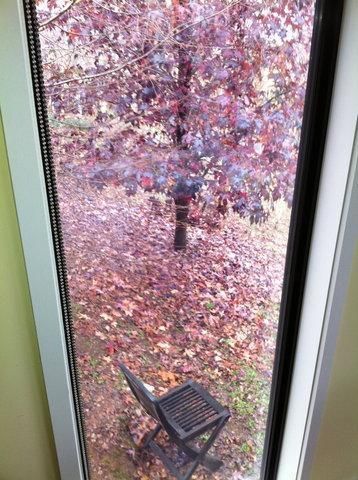 Outdoor Pictures 15