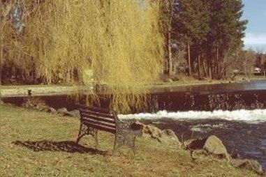 Outdoor Pictures 17