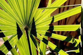 Outdoor Pictures 22