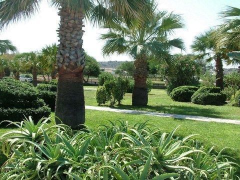 Outdoor Pictures 16