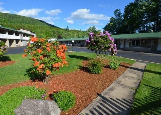 Outdoor Pictures 21