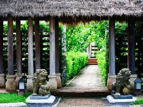 Outdoor Pictures 24