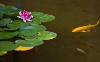 Outdoor Pictures 22