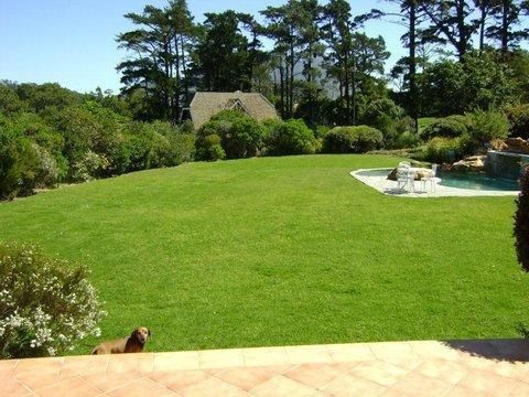 Outdoor Pictures 22