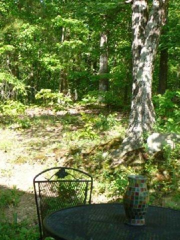 Outdoor Pictures 21