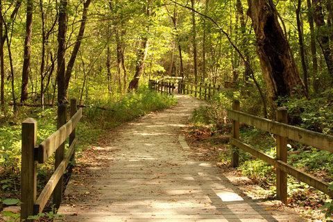 Outdoor Pictures 22