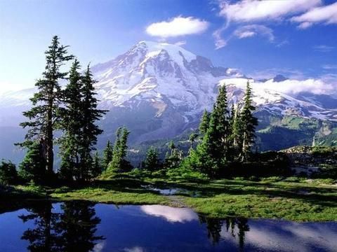 Outdoor Pictures 21