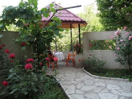 Outdoor Pictures 22