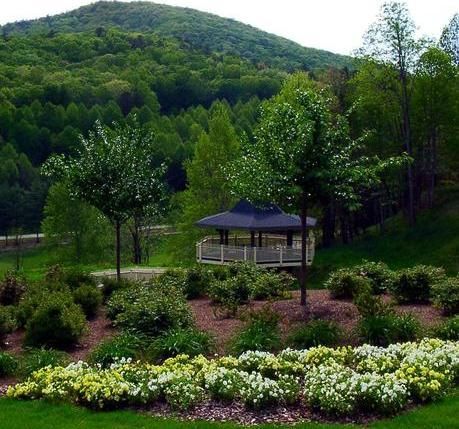 Outdoor Pictures 21
