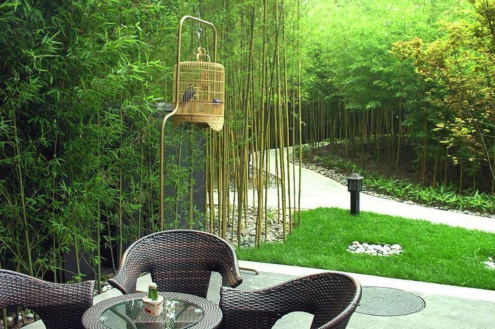 Outdoor Pictures 22