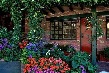 Outdoor Pictures 21