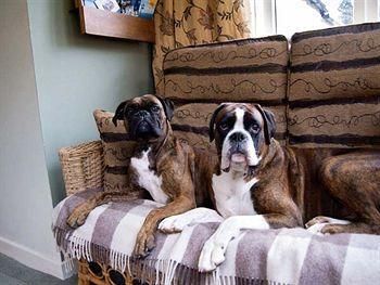 Drynachan Bed & Breakfast