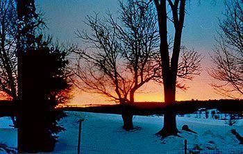 Outdoor Pictures 16