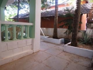 Outdoor Pictures 10