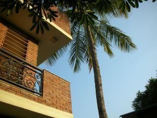 Outdoor Pictures 23