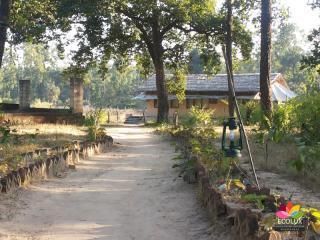 Outdoor Pictures 5