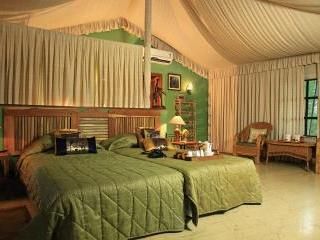 Pench Jungle Camp