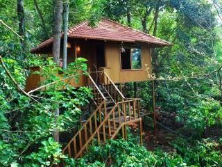 Planet Green Plantation Resorts, Wayanad, Kerala