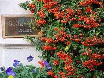Sedgehill House - Guest house