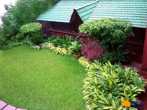 Outdoor Pictures 18